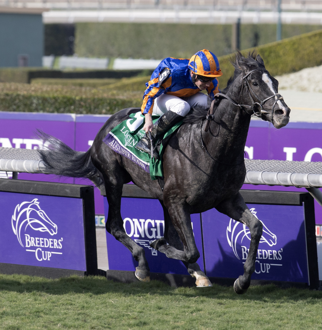 Strong home team holds the advantage in Japan Cup